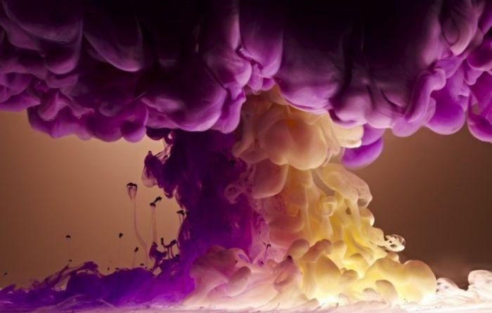 Explozie de culoare! Fotografiile care ÎŢI VOR TĂIA RESPIRAŢIA! 122100