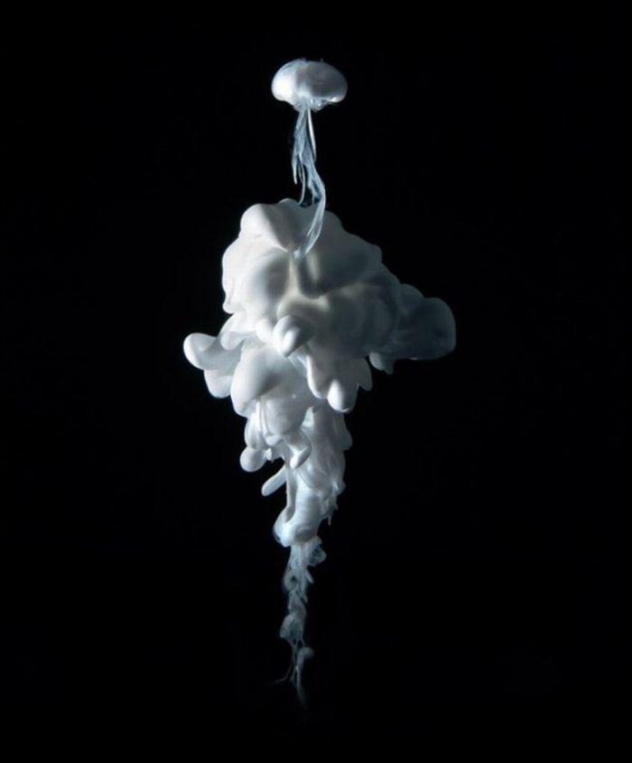 Explozie de culoare! Fotografiile care ÎŢI VOR TĂIA RESPIRAŢIA! 122102