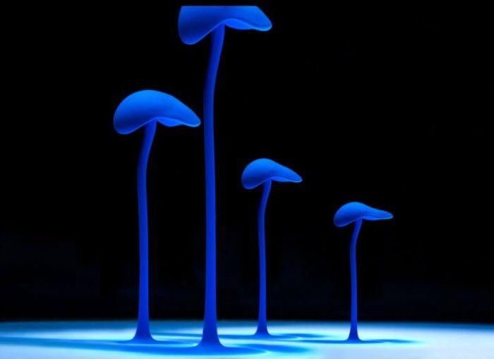 Explozie de culoare! Fotografiile care ÎŢI VOR TĂIA RESPIRAŢIA! 122103