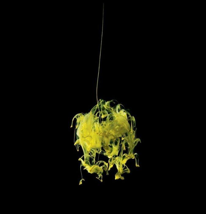 Explozie de culoare! Fotografiile care ÎŢI VOR TĂIA RESPIRAŢIA! 122105