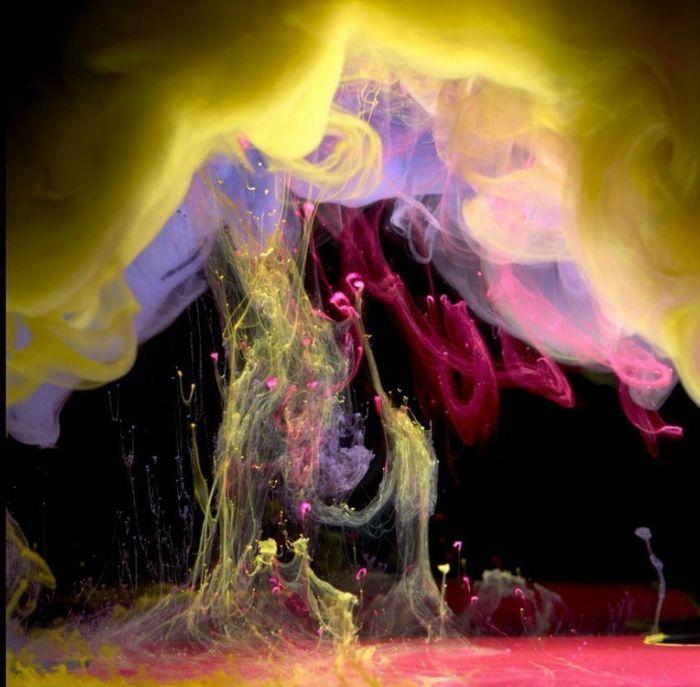 Explozie de culoare! Fotografiile care ÎŢI VOR TĂIA RESPIRAŢIA! 122106