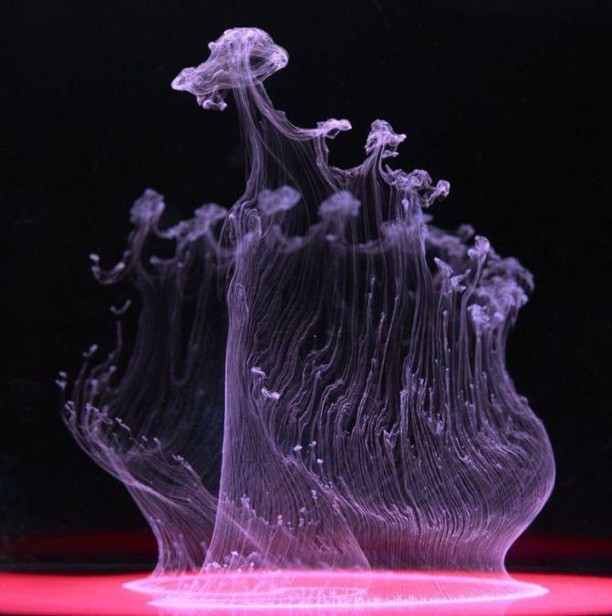 Explozie de culoare! Fotografiile care ÎŢI VOR TĂIA RESPIRAŢIA! 122107