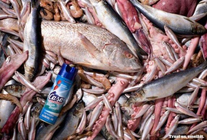 Ai curaj să te uiţi la ele? Topul celor mai SCÂRBOASE reclame  124245