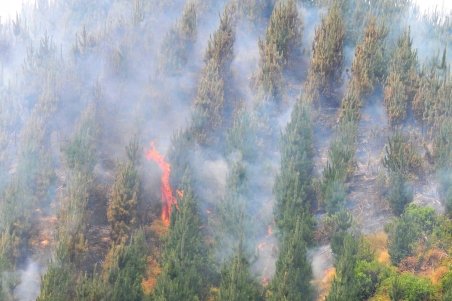 Incendiile de pădure din Chile au ucis şase pompieri 