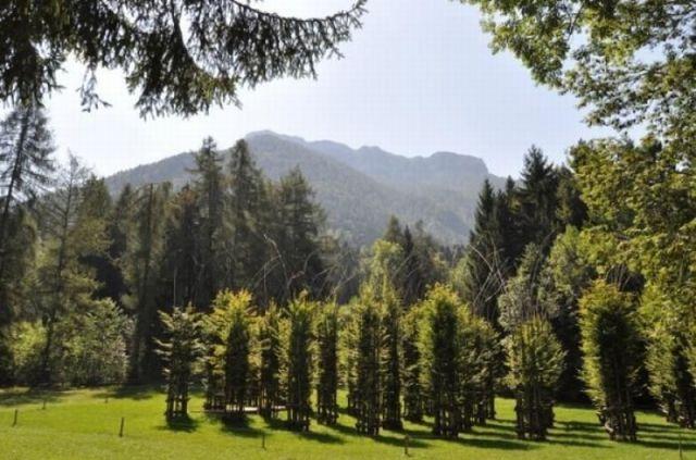 Catedrala verde din Italia 125397