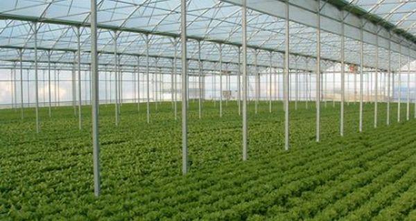 Un inginer cu VIZIUNE. Acum 100 de ani, spunea cu o ACURATEŢE INCREDIBILĂ cum va fi viaţa în anul 2.000 125286