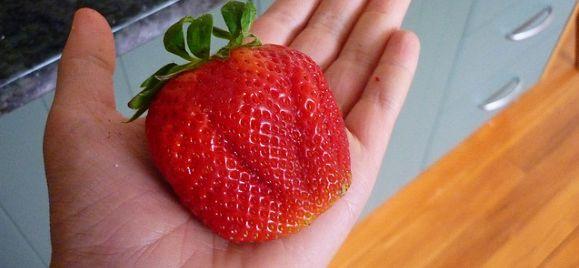 Un inginer cu VIZIUNE. Acum 100 de ani, spunea cu o ACURATEŢE INCREDIBILĂ cum va fi viaţa în anul 2.000 125289