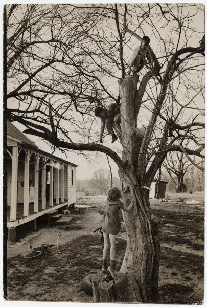 Povestea unei iubiri în alb şi negru 125634