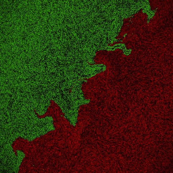 Nu vei ghici ce reprezintă această fotografie. Modelul, dorit de designerii de modă 126525