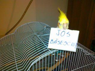 Umor 100% românesc chiar şi la proteste. Vezi cele mai tari imagini şi bancuri ce circulă pe Facebook 126580