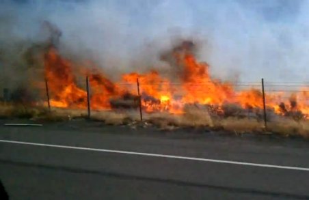 Alertă în Nevada: 10.000 de persoane evacuate din cauza incendiilor de vegetaţie