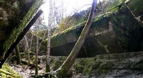 "Bârlogul lupului". Buncărul lui Hitler din Polonia este obiectiv turistic 127090