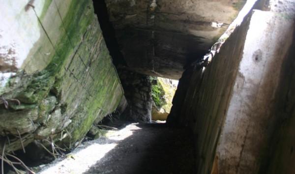 "Bârlogul lupului". Buncărul lui Hitler din Polonia este obiectiv turistic 127093