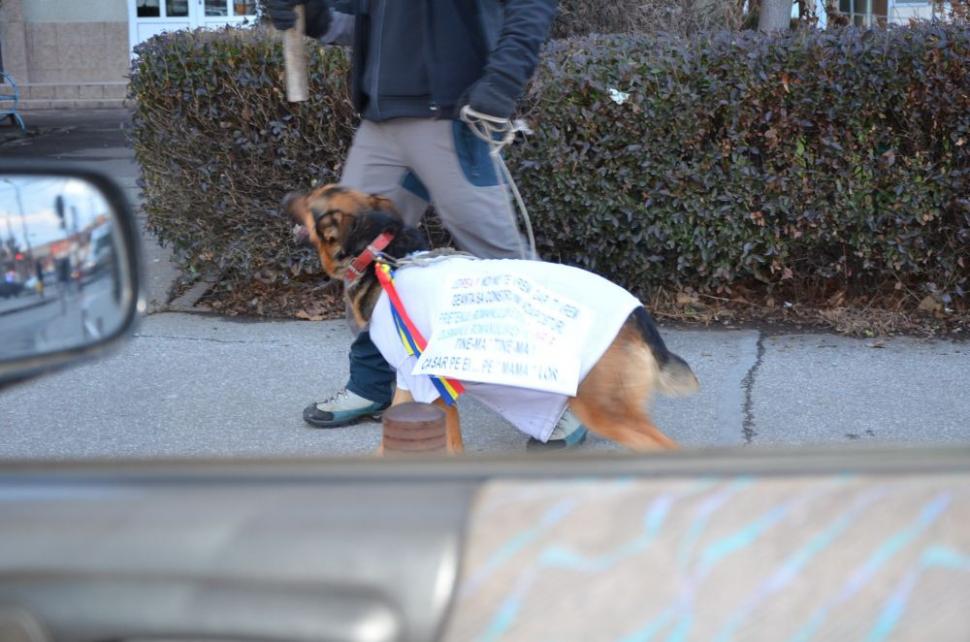 Protestele din țară, în imagini de la cititorii Antena3.ro 127276