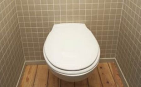 Cea mai scumpă toaletă din ţară, la Vălenii de Munte. Motiv de fală sau bani pe apa sâmbetei?