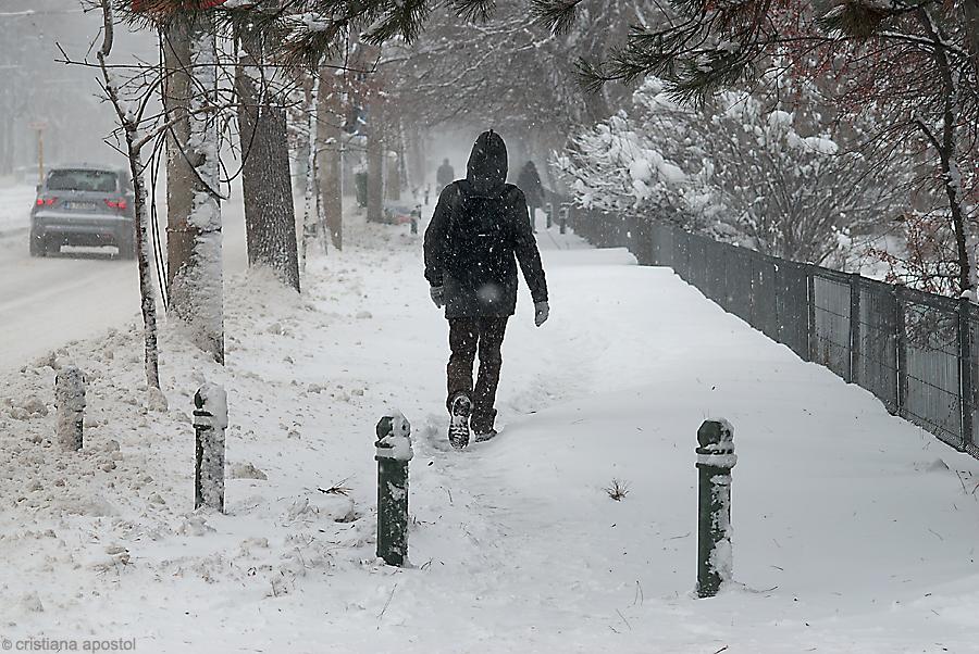 Bucureştiul, împodobit de iarnă. Imagini trimise de utilizatorii www.antena3.ro 128310