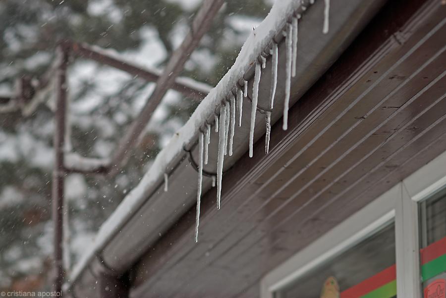 Bucureştiul, împodobit de iarnă. Imagini trimise de utilizatorii www.antena3.ro 128311