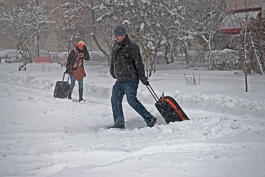 Bucureştiul, împodobit de iarnă. Imagini trimise de utilizatorii www.antena3.ro 128312