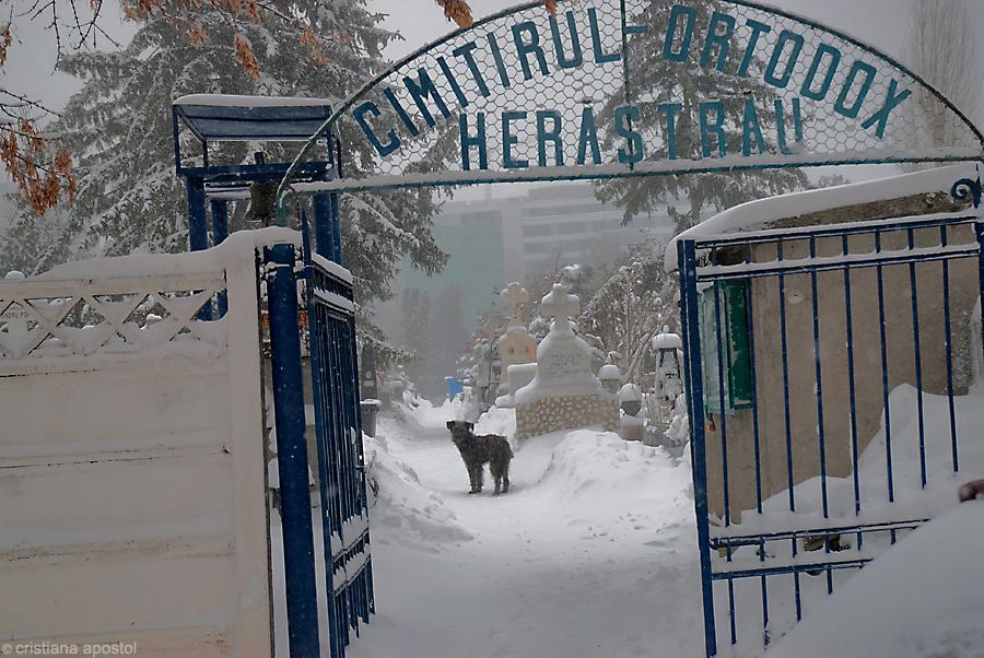 Bucureştiul, împodobit de iarnă. Imagini trimise de utilizatorii www.antena3.ro 128313