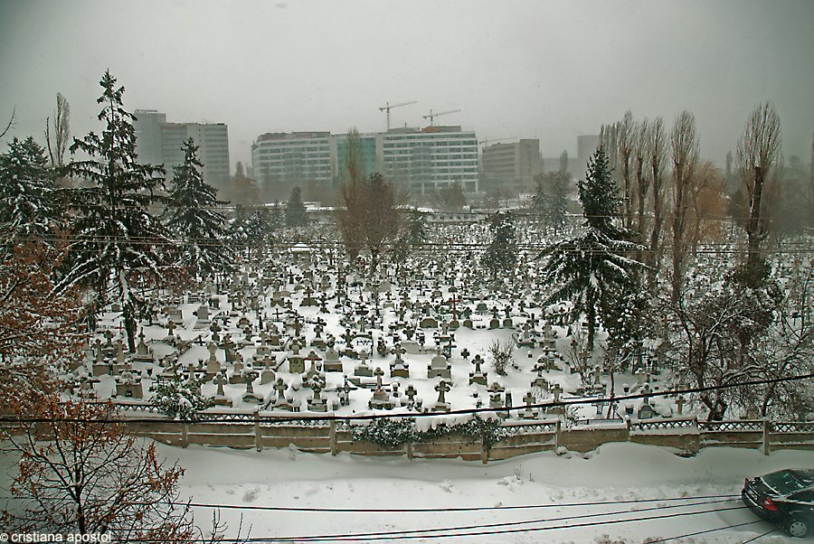 Bucureştiul, împodobit de iarnă. Imagini trimise de utilizatorii www.antena3.ro