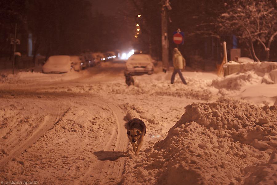Bucureştiul, împodobit de iarnă. Imagini trimise de utilizatorii www.antena3.ro 128317