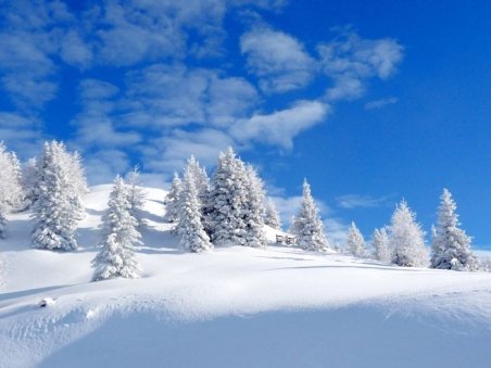 România: Vezi aici peisajele de basm create de iarnă 