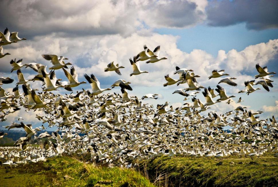 Doi români, nominalizaţi la Premiile Mondiale Sony pentru Fotografie 2012 129416