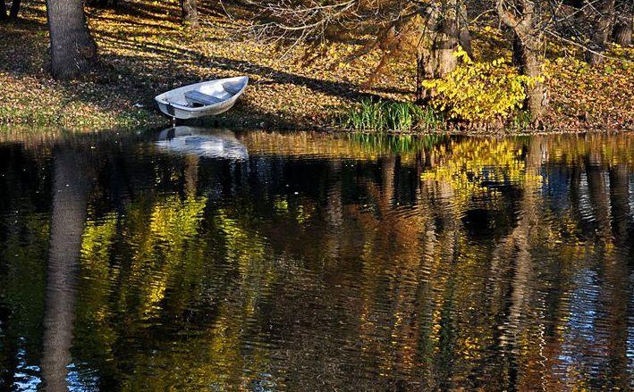 &quot;Fotografia este o formă de egoism. Nu eu îmi aleg subiecţii, ei mă aleg pe mine&quot;. Viaţa, prin obiectivul unui fotograf 129847