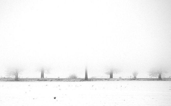 &quot;Fotografia este o formă de egoism. Nu eu îmi aleg subiecţii, ei mă aleg pe mine&quot;. Viaţa, prin obiectivul unui fotograf 129848