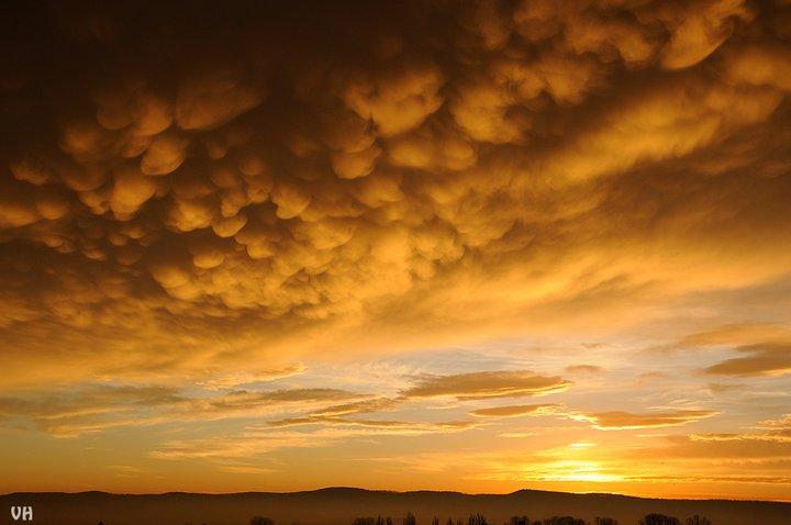 &quot;Fotografia este o formă de egoism. Nu eu îmi aleg subiecţii, ei mă aleg pe mine&quot;. Viaţa, prin obiectivul unui fotograf 129849