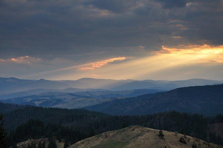 &quot;Fotografia este o formă de egoism. Nu eu îmi aleg subiecţii, ei mă aleg pe mine&quot;. Viaţa, prin obiectivul unui fotograf 129853