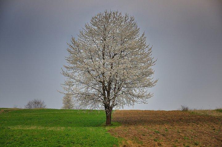 &quot;Fotografia este o formă de egoism. Nu eu îmi aleg subiecţii, ei mă aleg pe mine&quot;. Viaţa, prin obiectivul unui fotograf 129854