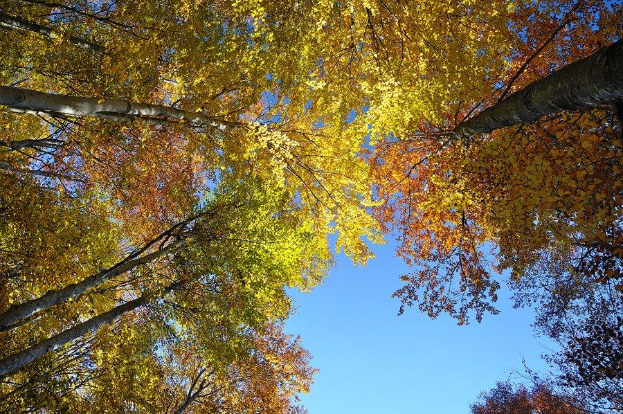 &quot;Fotografia este o formă de egoism. Nu eu îmi aleg subiecţii, ei mă aleg pe mine&quot;. Viaţa, prin obiectivul unui fotograf 129855