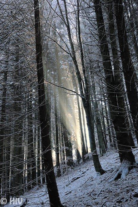 &quot;Fotografia este o formă de egoism. Nu eu îmi aleg subiecţii, ei mă aleg pe mine&quot;. Viaţa, prin obiectivul unui fotograf 129859