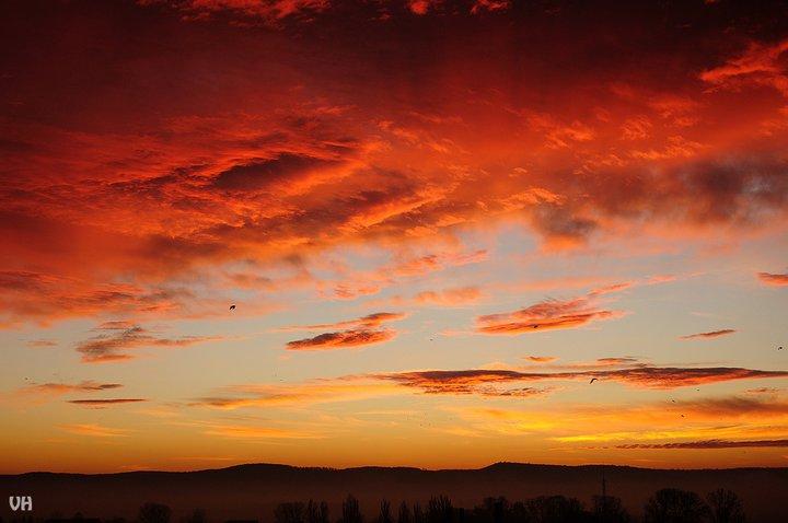 &quot;Fotografia este o formă de egoism. Nu eu îmi aleg subiecţii, ei mă aleg pe mine&quot;. Viaţa, prin obiectivul unui fotograf 129861