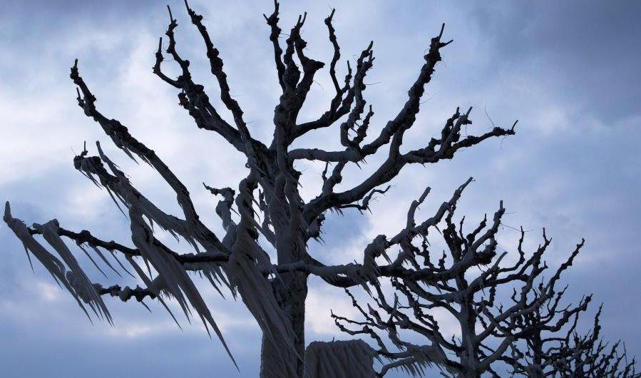 MARELE ÎNGHEŢ a pus stăpânire pe Europa. Gerul ucide europenii pe capete. Un om al străzii de origine română a murit în Italia 130048