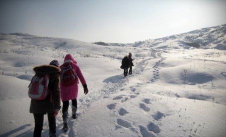 Aproape 3.400 de şcoli din ţară au rămas închise vineri din cauza zăpezii