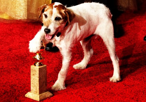 Câinele Uggie, premiat cu Zgarda de Aur pentru rolul din &quot;The Artist&quot;