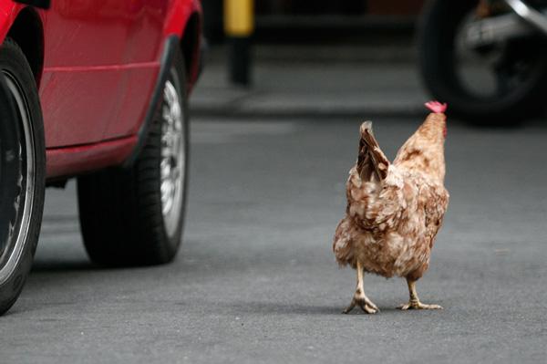 Cele mai ciudate legi din lume 131142