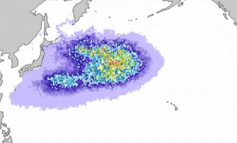 SUA va fi lovită de 25 de milioane de tone de resturi ale tsunami-ului din Japonia. Vezi cum va arăta harta în câţiva ani