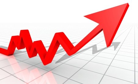 Economia României a crescut cu 2,5% în 2011, comparativ cu anul trecut