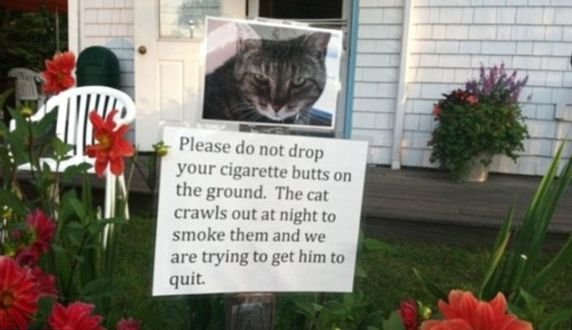 Pisica fumătoare, vecinul care şi-a pus parolă la net şi războiul rufelor. Cele mai amuzante bileţele
