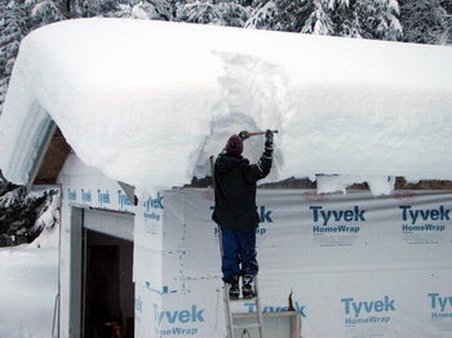 Mehedinţi: Zeci de animale moarte sub un acoperiş căzut din cauza zăpezii 