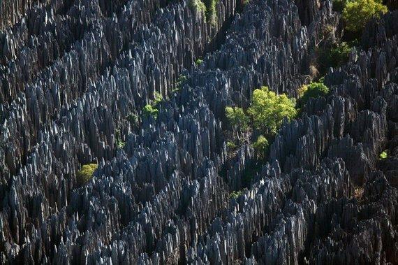 Aşa ne vede Dumnezeu. Pâmântul văzut din cer, proiectul îndrăzneţ al unui fotograf francez 132330
