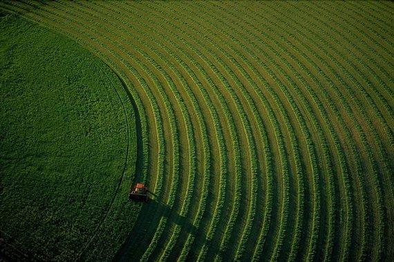 Aşa ne vede Dumnezeu. Pâmântul văzut din cer, proiectul îndrăzneţ al unui fotograf francez 132337