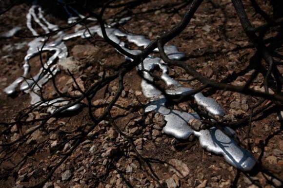 Oamenii care l-au văzut pe Dumnezeu şi au trăit. Imaginile care au făcut ca lumea să nu mai fie la fel 132744