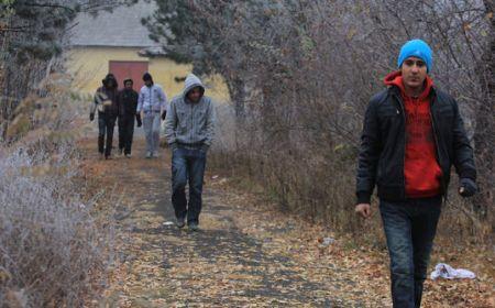 Reportaj Le Monde: Timişoara, o nouă poartă spre Occident pentru imigranţii ilegali 133069