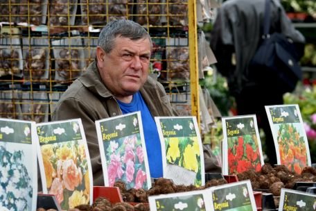 Amenzi de 43.000 de lei şi 80.000 de fire de flori confiscate în urma unei razii în Piaţa George Coşbuc