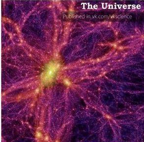 Modul minunat în care a fost creat omul. &quot;Creierul uman este o sărbătoare a Universului&quot;. Vezi FOTO care îţi va demonstra asta 133676