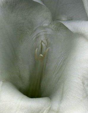 Întreaga lume a văzut ce CADOU a primit acest bărbat de ziua lui. Toţi amicii au vrut să îl atingă 133841